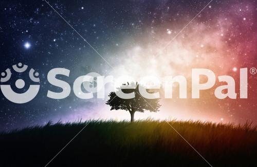 A Tree In A Field With Stunning Space Backdrop
